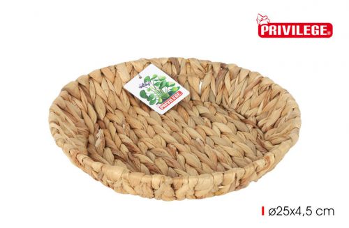 Bandeja Jacinto De Aguaredonda 25x4.5cmc/Metal