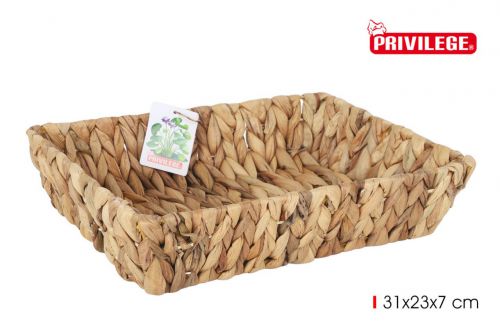 Bandeja Jacinto De Agua Retangular 31x23x7cm