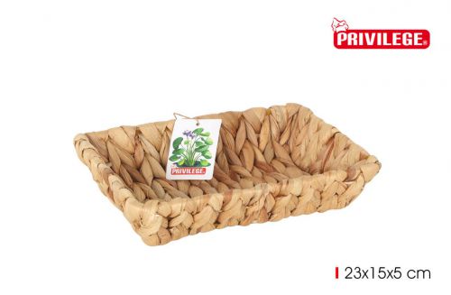 Bandeja Jacinto De Agua Retangular 23x15x5cm