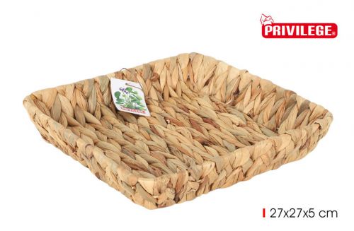 Bandeja Jacinto De Agua Quadrada 27x27x5cm C/Met