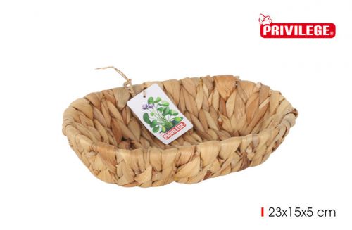 Bandejajacinto De Agua Oval 23x15x5cm