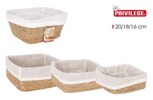 Conjunto 3 Cestos  Vime Quadrados 20/18/16 Cm C/Te