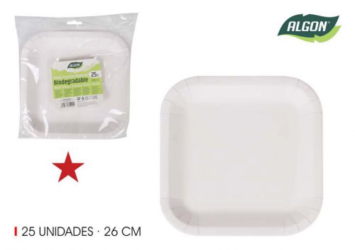 Set25 Placa Quadrada De Cart+o Natural 26cm Algon