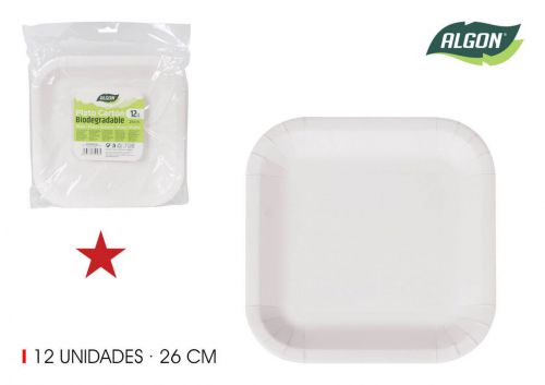 Set12 Placa Quadrada De Cart+o 26cm Algon — referência BA01054075047