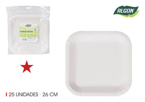 Set25 Placa Quadrada De Cart+o 26cm Algon